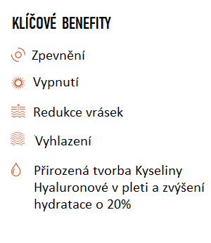 hyaluron maska CZ_1